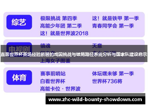 直面世界杯赛场经验断层的成因挑战与破局路径系统分析与国家队建设启示