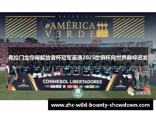弗拉门戈夺得解放者杯冠军直通2025世俱杯向世界巅峰进发