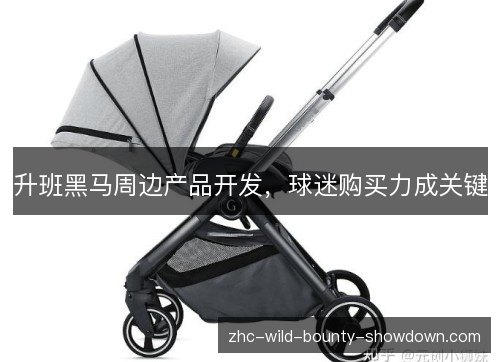 升班黑马周边产品开发，球迷购买力成关键